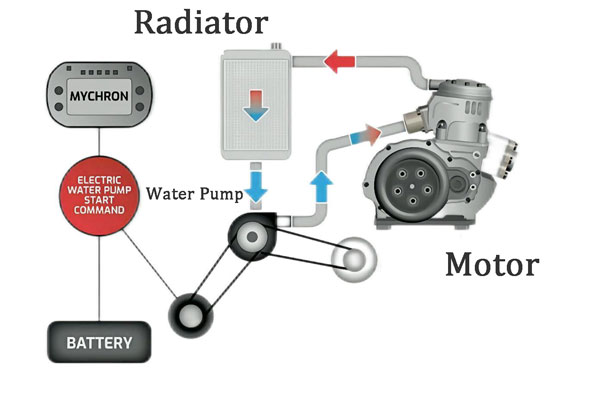 Exploring Automotive Electric Coolant Pumps in Electric Vehicles
